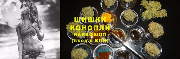 крисы Арсеньев