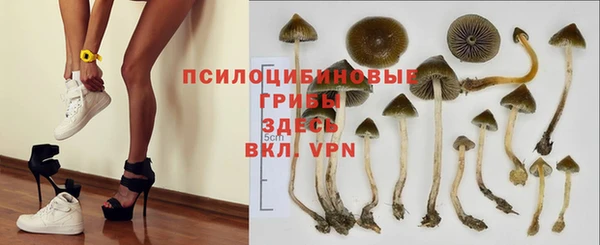 герыч Покровск