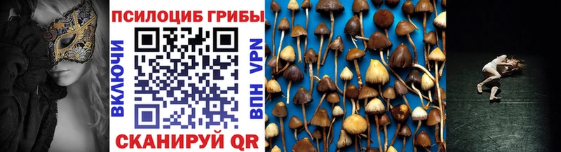 где можно купить наркотик  Октябрьск  OMG зеркало  Псилоцибиновые грибы GOLDEN TEACHER 
